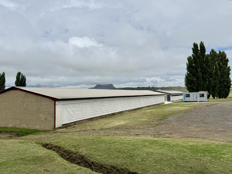 0 Bedroom Property for Sale in Harrismith Free State